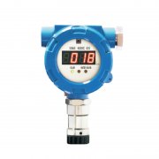 ��ȼ����̽����